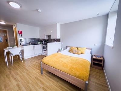 Picture 14